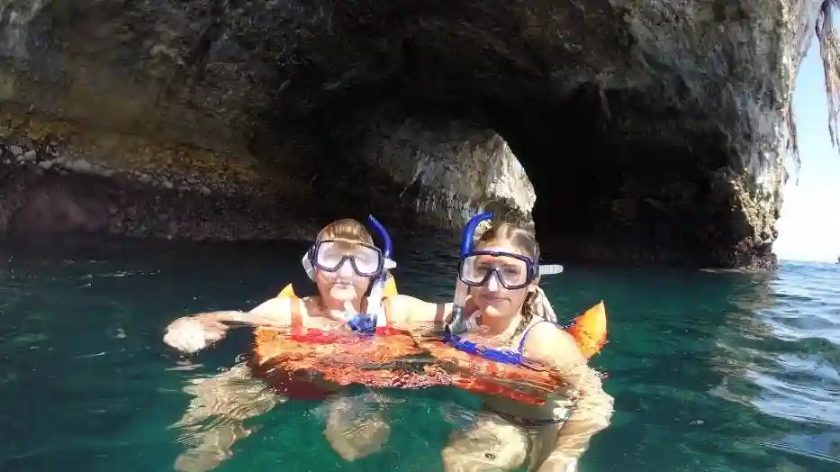 Wilde Delfine-Tour & Schnorcheln Bereitgestellt von Ecotours Vallarta