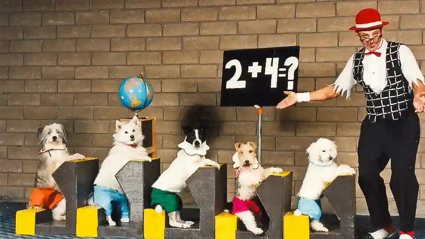 V Theater Las Vegas : Popovich Comedy Pet Theater