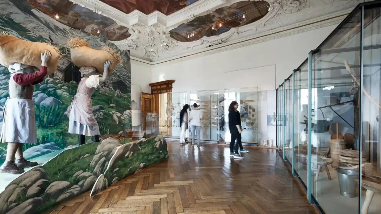 Universalmuseum Joanneum: Acceso 24 horas Operado por Universalmuseum Joanneum GmbH