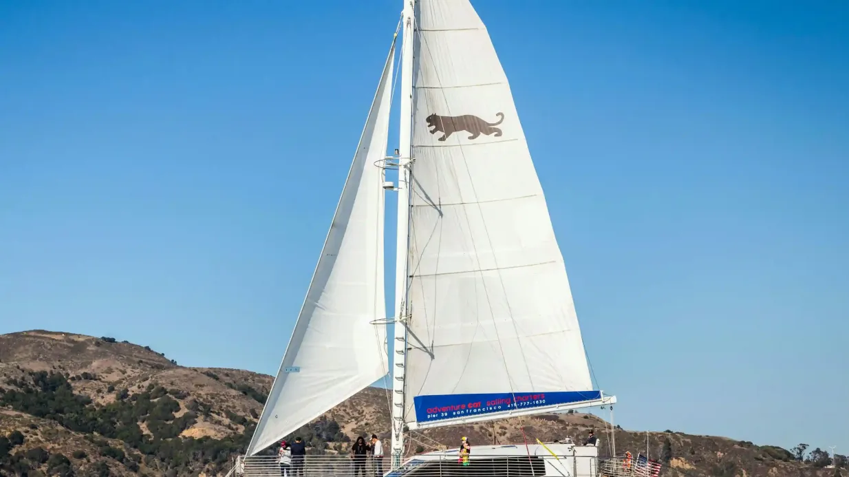 San Francisco: Catamaran Cruise Provided by Adventure Cat Sailing Charters