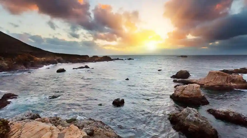 From San Francisco: Day Trip To Monterey and Carmel by the Sea Provided by San Francisco Incoming Services LLC