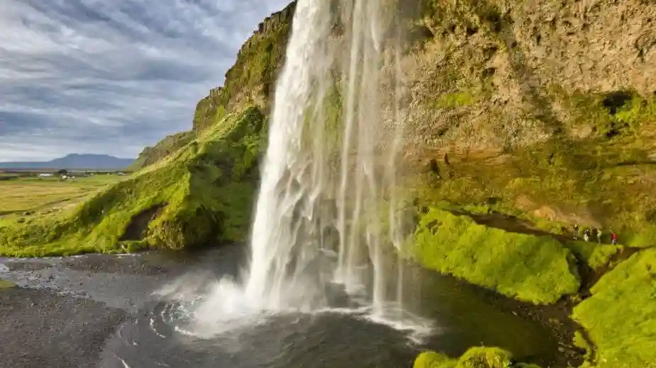Vik, Skógafoss Wasserfall & Schwarzer Sand Südisland: Geführte Tour + Transport
