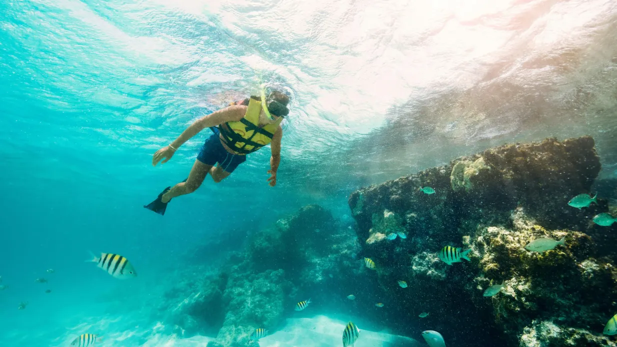 Cancún: Museo Subacuático MUSA, lancha rápida por la jungla y excursión de snorkel Operado por Viajero Cibernetico SA de CV