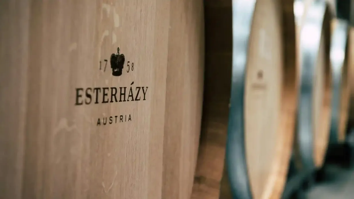 Weingut Esterházy Bereitgestellt von Schloss Esterházy Management GmbH