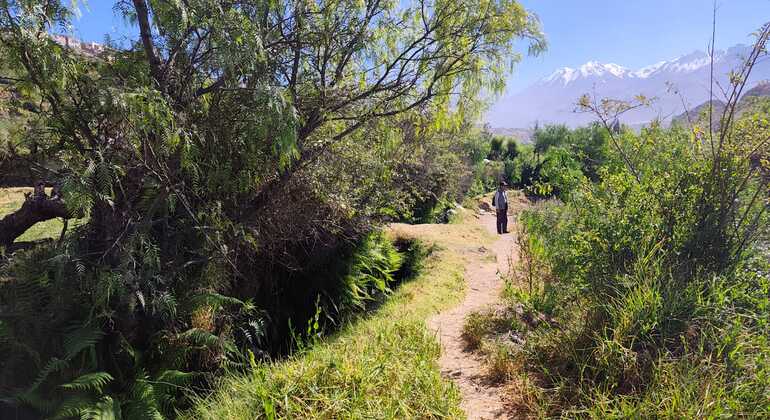 arequipa-free-hiking-tour-es-2