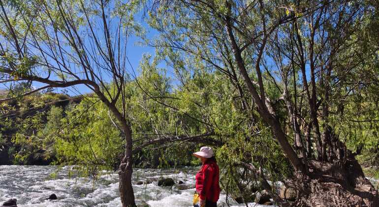 arequipa-free-hiking-tour-es-3