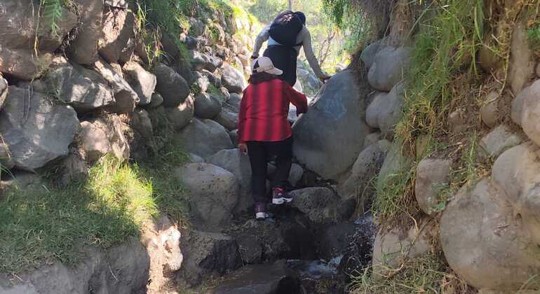arequipa-free-hiking-tour-es-4