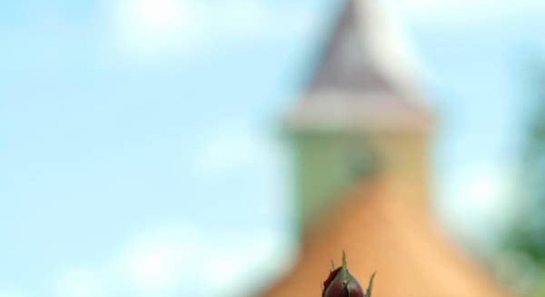 Novigrad Podravski Walking Tour of the Vineyards global.countries. &mdash; #5