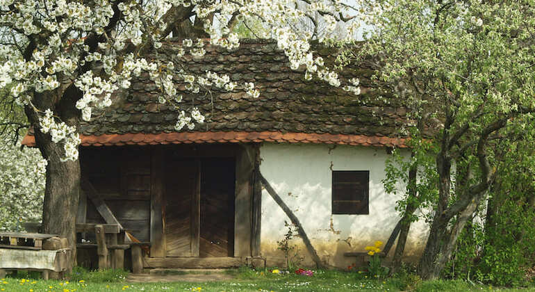 Novigrad Podravski Walking Tour of the Vineyards global.countries. &mdash; #8