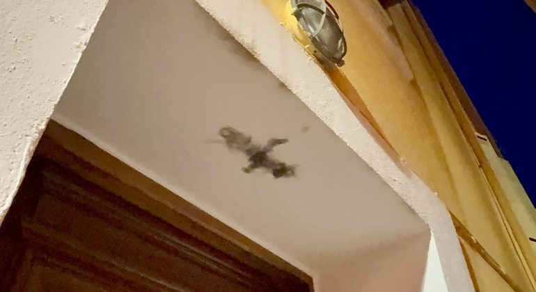 Chania: Tales of the Underworld Night Walk Greece &mdash; #6