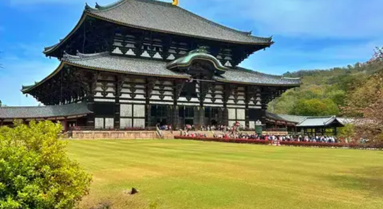 Nara: Excursión privada de un día desde Osaka o Kioto Japón &mdash; #3
