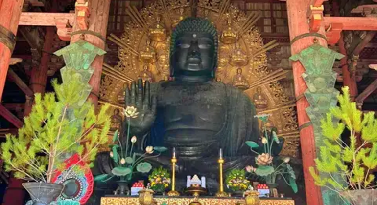 Nara: Excursión privada de un día desde Osaka o Kioto Japón &mdash; #4