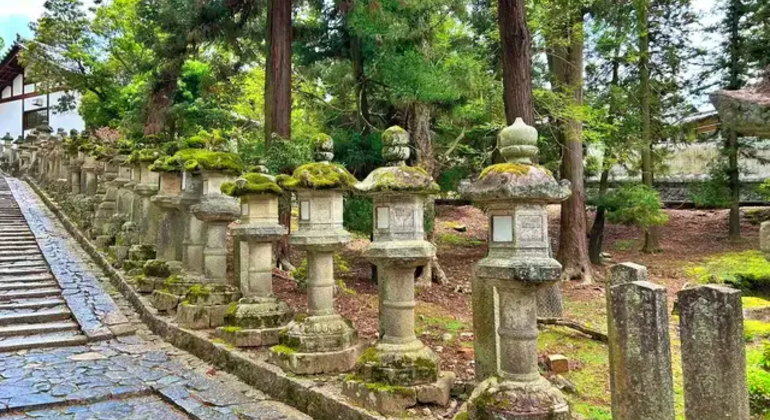 Nara: Excursión privada de un día desde Osaka o Kioto Japón &mdash; #5