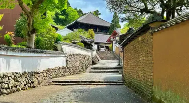 Nara: Excursión privada de un día desde Osaka o Kioto Japón &mdash; #7