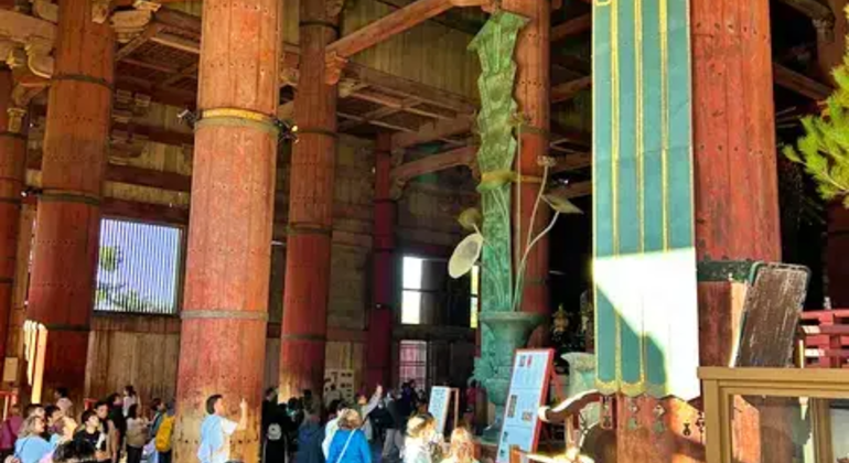Nara: Excursión privada de un día desde Osaka o Kioto Japón &mdash; #8