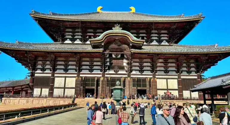 Nara: Excursión privada de un día desde Osaka o Kioto Japón &mdash; #10