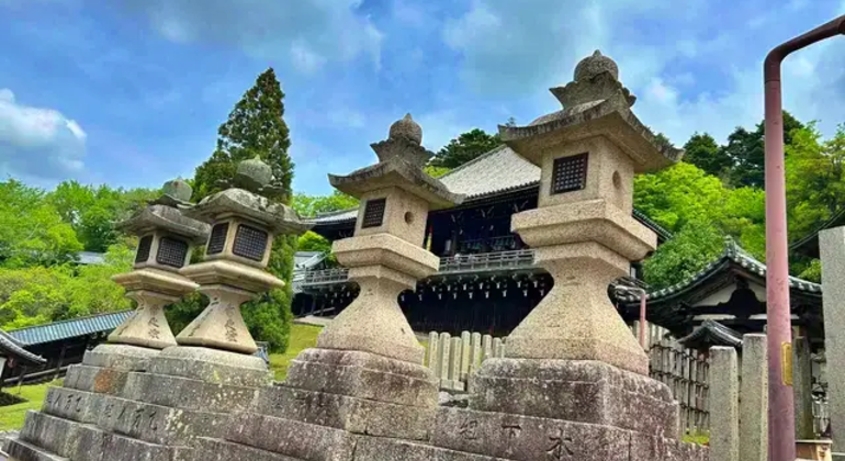 Nara: Excursión privada de un día desde Osaka o Kioto Japón &mdash; #11