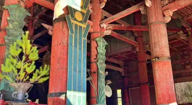 Nara: Excursión privada de un día desde Osaka o Kioto Japón &mdash; #14