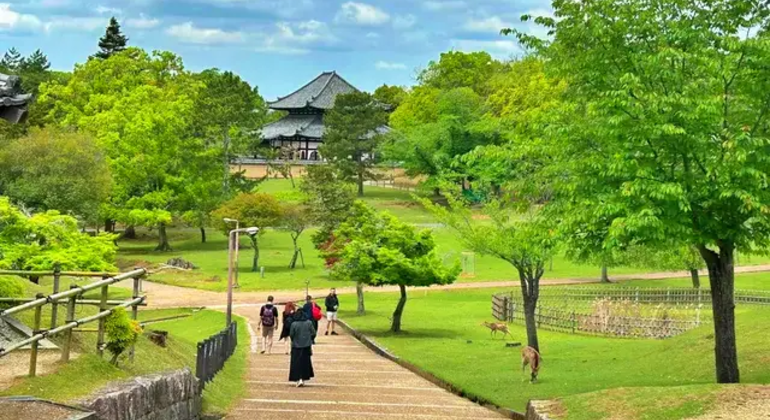 Nara: Excursión privada de un día desde Osaka o Kioto Japón &mdash; #16