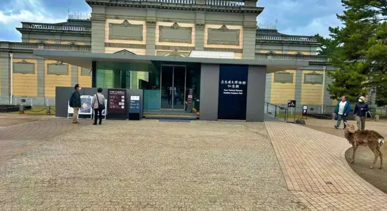 Nara: Excursión privada de un día desde Osaka o Kioto Japón &mdash; #18