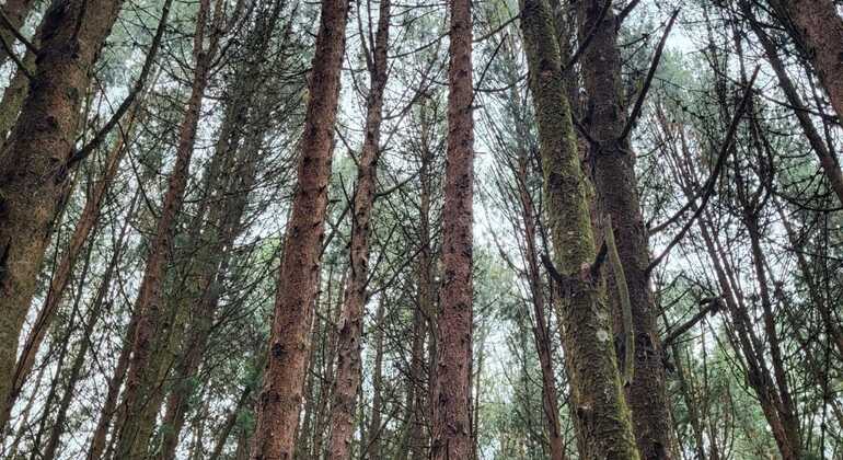 Vom Wald zum Wasser: Tour in den östlichen Hügeln von Usaquén Kolumbien &mdash; #6