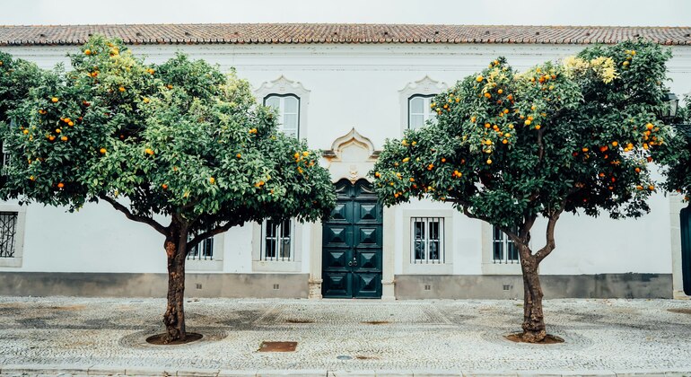 faro-romantic-whisper-of-love-game-en-5