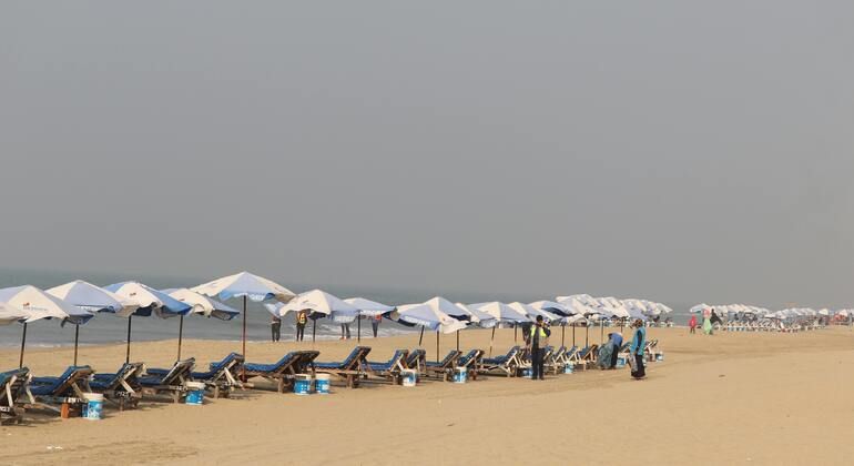 the-longest-beach-adventure-coxs-bazar-en-1