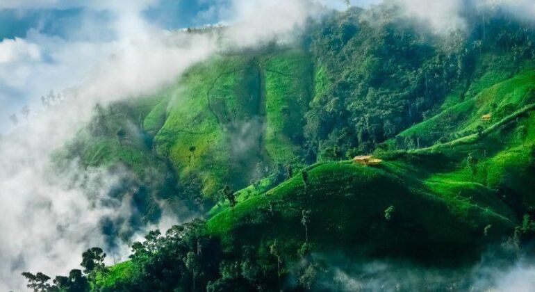 Colinas de Bandarban, Cascadas y Vida Tribal