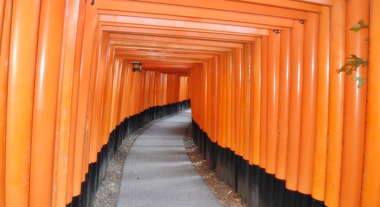 Excursão privada ao Santuário de Fushimi Inari com recolha no hotel  Japão &mdash; #3