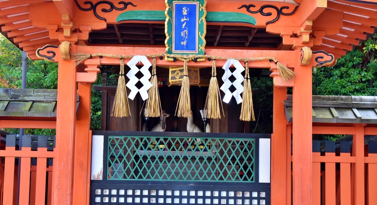 Excursão privada ao Santuário de Fushimi Inari com recolha no hotel  Japão &mdash; #13
