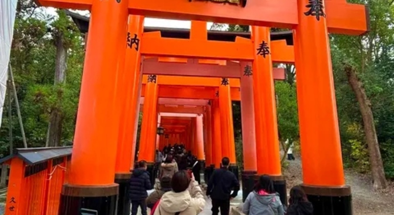 Excursão privada ao Santuário de Fushimi Inari com recolha no hotel  Japão &mdash; #14