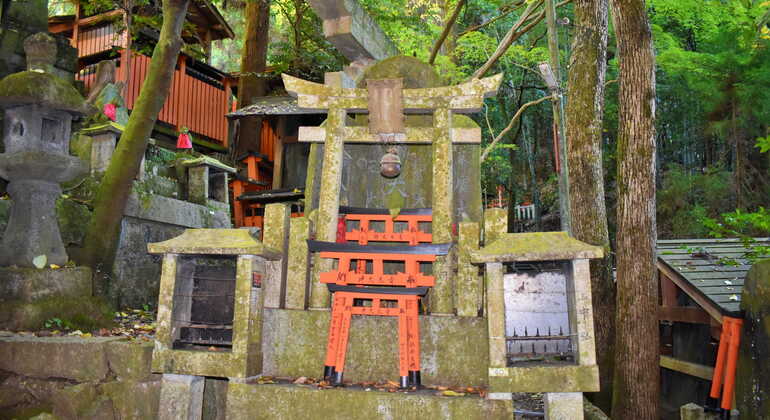 Excursão privada ao Santuário de Fushimi Inari com recolha no hotel  Japão &mdash; #8
