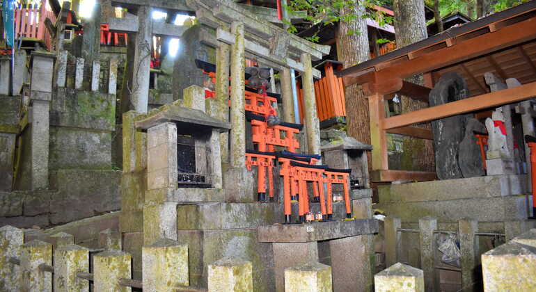 Excursão privada ao Santuário de Fushimi Inari com recolha no hotel  Japão &mdash; #5