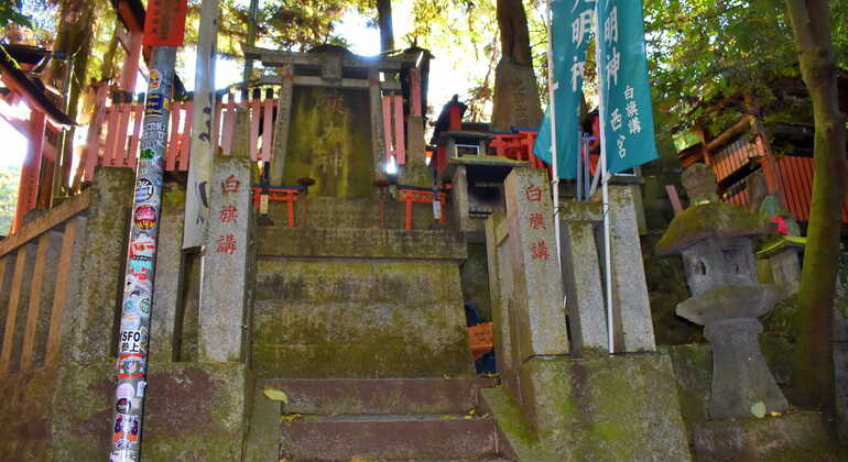 Excursão privada ao Santuário de Fushimi Inari com recolha no hotel  Japão &mdash; #16