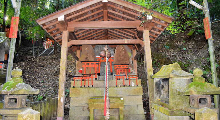 Excursão privada ao Santuário de Fushimi Inari com recolha no hotel  Japão &mdash; #6