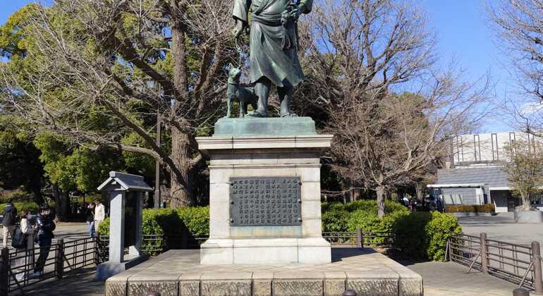 FreeTour por Ameyayokocho y el Parque de Ueno Operado por JTN COMMERCE