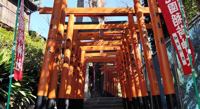 FreeTour por Ameyayokocho y el Parque de Ueno Japón &mdash; #2