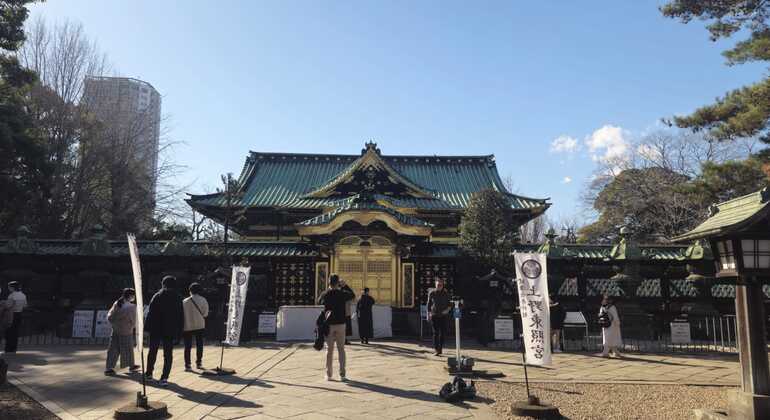 FreeTour por Ameyayokocho y el Parque de Ueno Japón &mdash; #3