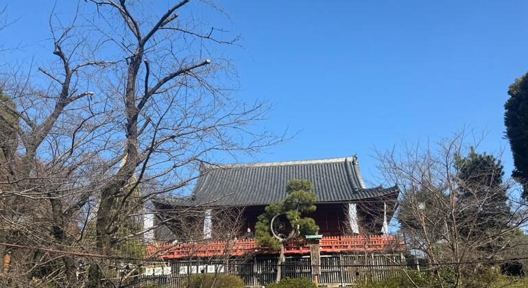 FreeTour por Ameyayokocho y el Parque de Ueno Japón &mdash; #4