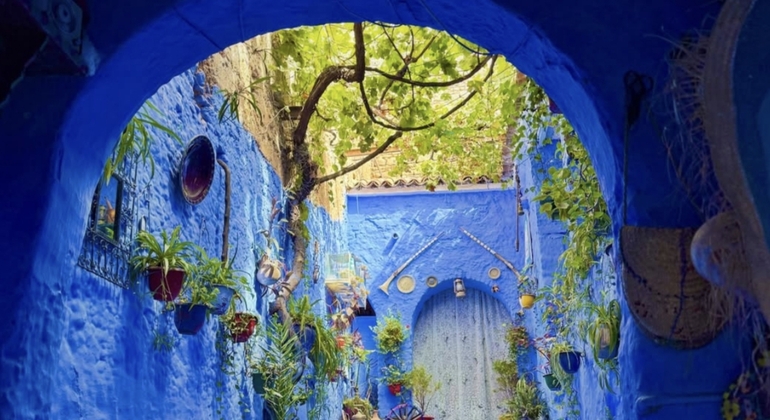 Discover Chefchaouen as a Local Morocco &mdash; #4