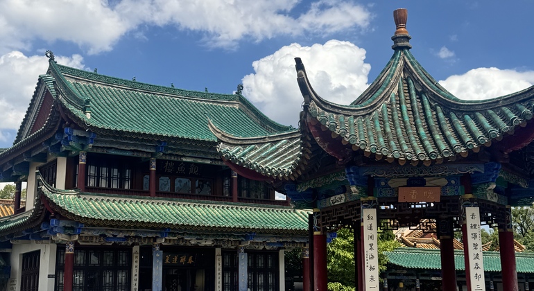 Visita guiada gratuita por la ciudad de Kunming Operado por Aisheng Luo