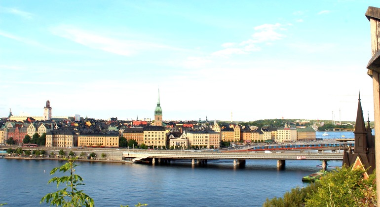 Free Walking Tour of Gamla Stan: Discover the Heart of Stockholm Provided by Wolf Tours Stockholm
