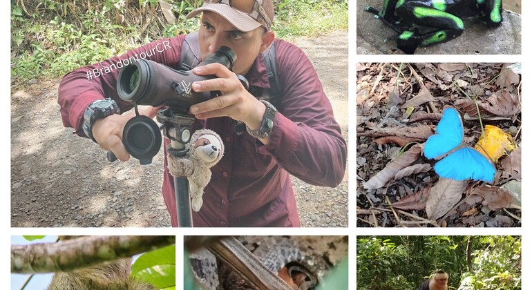 brandon-nature-tour-costa-rica-es-1