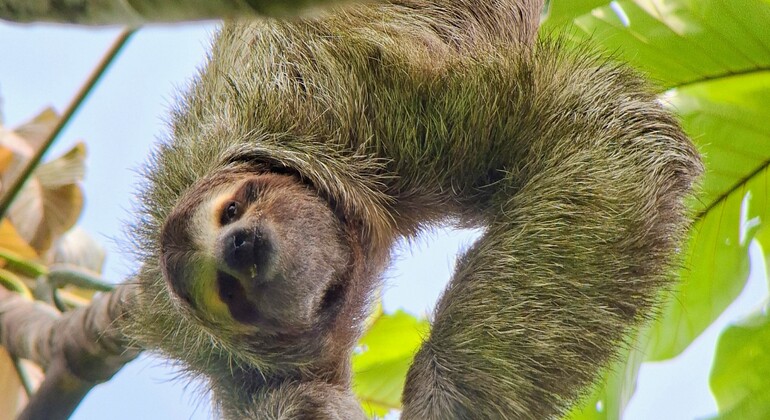 brandon-nature-tour-costa-rica-es-6