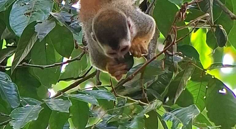 brandon-nature-tour-costa-rica-es-21
