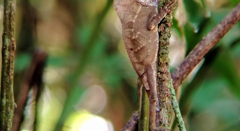 brandon-nature-tour-costa-rica-es-30