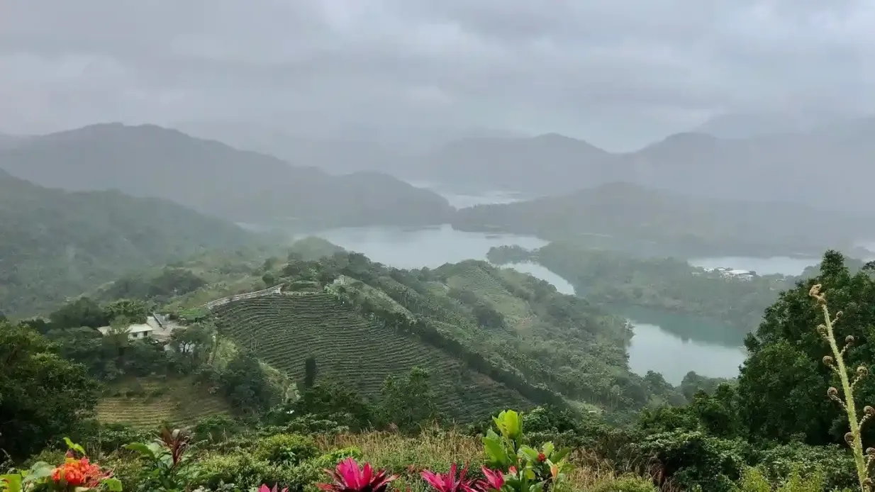 Cultura del tè di Pinglin e Maokong: Tour guidato di un giorno da Taipei + giro in gondola