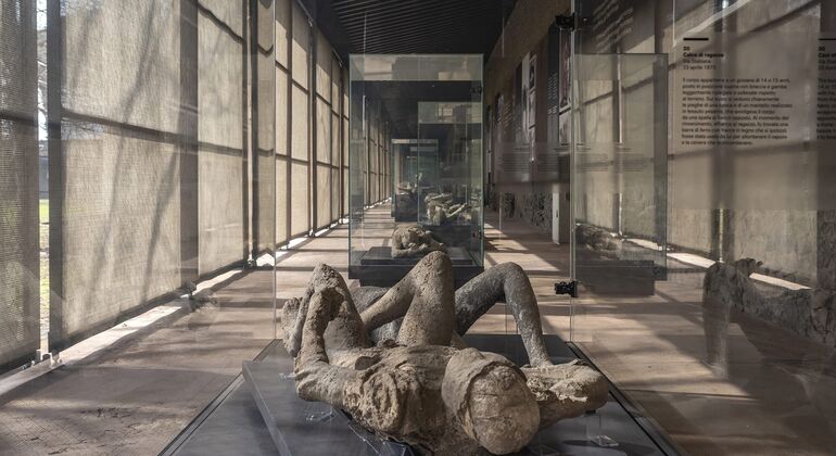 Pompeii Tour con Guida Autorizzata - Archeologa Italia &mdash; #10
