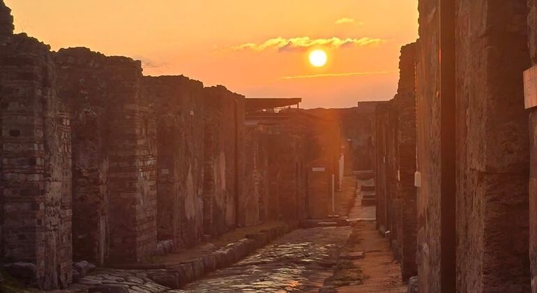 Pompeii Tour con Guida Autorizzata - Archeologa Italia &mdash; #11
