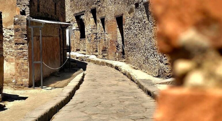 Pompeii Tour con Guida Autorizzata - Archeologa Italia &mdash; #13